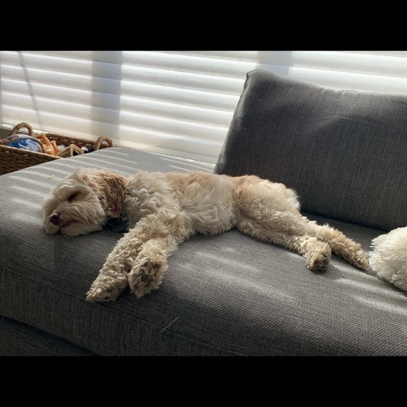 Meet your Posher, Lindsay - Picture 1 of 1